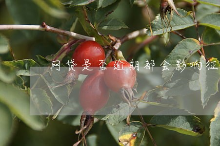 网贷是否逾期都会影响征信吗 网贷是否逾期都会影响征信吗