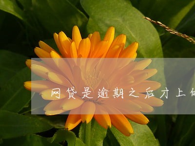 网贷是逾期之后才上的征信吗 网贷是逾期之后才上的征信吗