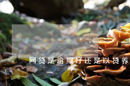 网贷是逾期好还是以贷养贷好