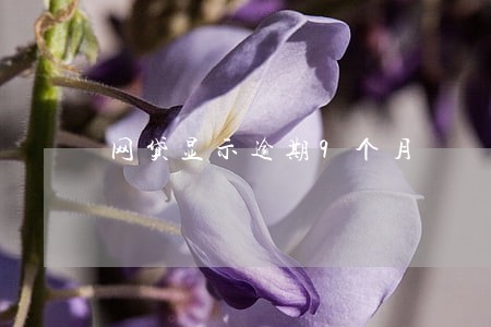 网贷显示逾期9个月 网贷显示逾期9个月