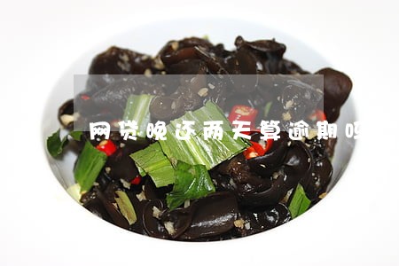 网贷晚还两天算逾期吗 网贷晚还两天算逾期吗