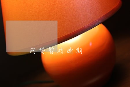 网贷暂时逾期 网贷暂时逾期