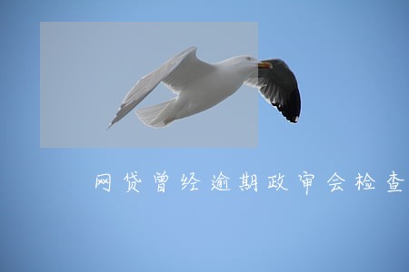 网贷曾经逾期政审会检查出来嘛 网贷曾经逾期政审会检查出来嘛