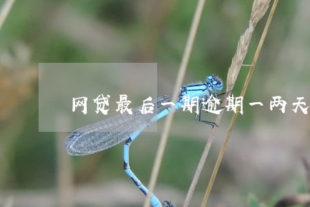 网贷最后一期逾期一两天有关系吗 网贷最后一期逾期一两天有关系吗