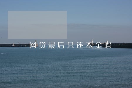 网贷最后只还本金吗 网贷最后只还本金吗