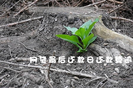 网贷最后还款日还款算逾期吗 网贷最后还款日还款算逾期吗