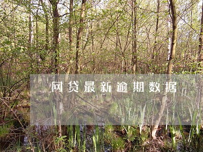 网贷最新逾期数据 网贷最新逾期数据