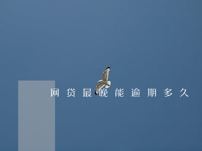 网贷最晚能逾期多久