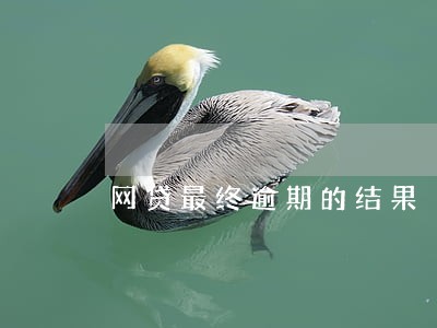 网贷最终逾期的结果 网贷最终逾期的结果