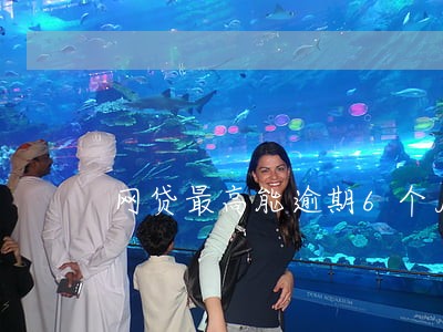 网贷最高能逾期6个月 网贷最高能逾期6个月