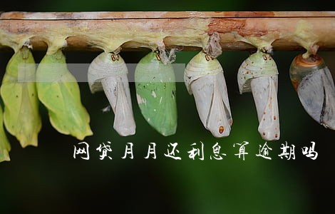 网贷月月还利息算逾期吗 网贷月月还利息算逾期吗