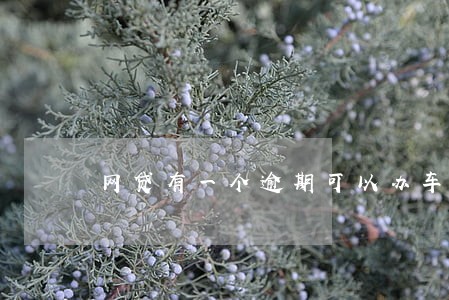 网贷有一个逾期可以办车贷吗 网贷有一个逾期可以办车贷吗