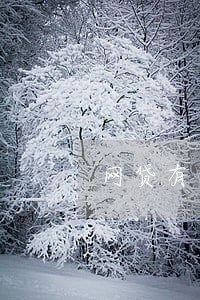 网贷有两次逾期对征信 网贷有两次逾期对征信