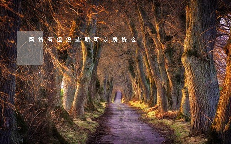 网贷有但没逾期可以房贷么 网贷有但没逾期可以房贷么