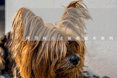 网贷有六次逾期能买房吗 网贷有六次逾期能买房吗