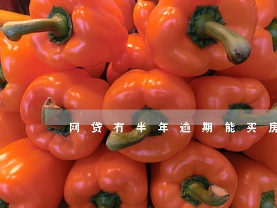 网贷有半年逾期能买房么 网贷有半年逾期能买房么