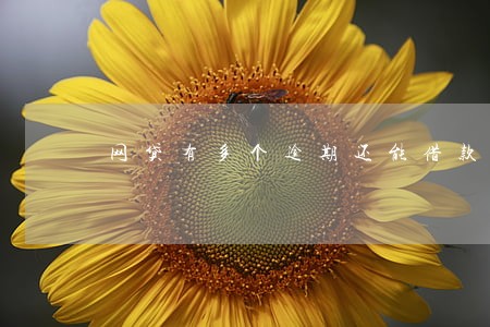 网贷有多个逾期还能借款吗 网贷有多个逾期还能借款吗