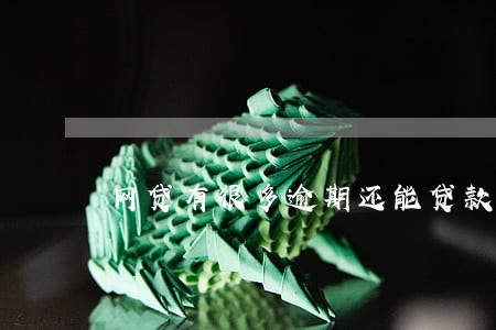 网贷有很多逾期还能贷款吗 网贷有很多逾期还能贷款吗
