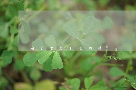 网贷有恶意逾期吗 网贷有恶意逾期吗