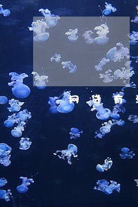 网贷有没有逾期一年 网贷有没有逾期一年