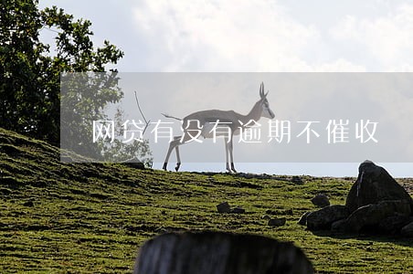 网贷有没有逾期不催收 网贷有没有逾期不催收