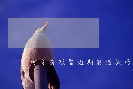 网贷有短暂逾期能借款吗 网贷有短暂逾期能借款吗