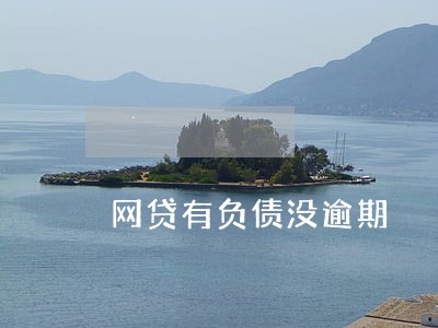 网贷有负债没逾期 网贷有负债没逾期