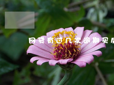 网贷有过几次逾期买房影响吗 网贷有过几次逾期买房影响吗