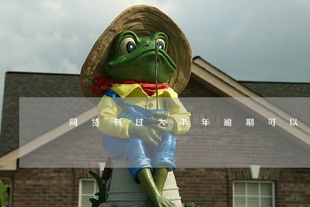 网贷有过大半年逾期可以买车吗 网贷有过大半年逾期可以买车吗