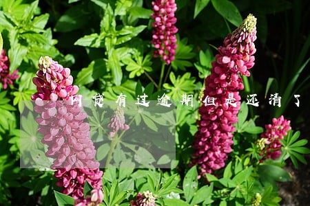 网贷有过逾期但是还清了 网贷有过逾期但是还清了
