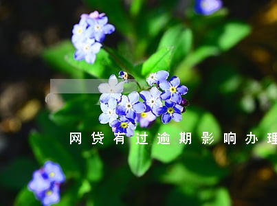 网贷有过逾期影响办理公务卡吗