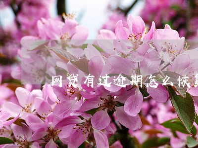 网贷有过逾期怎么恢复征信