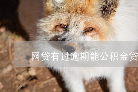 网贷有过逾期能公积金贷款吗 网贷有过逾期能公积金贷款吗