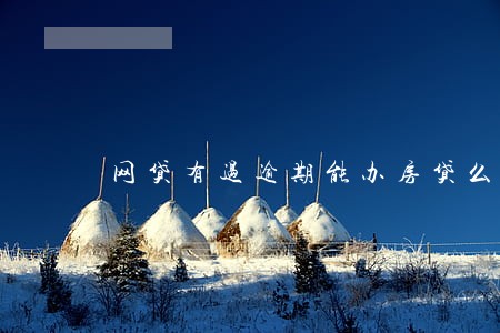 网贷有过逾期能办房贷么 网贷有过逾期能办房贷么