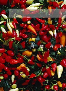 网贷有过逾期能贷款买车吗 网贷有过逾期能贷款买车吗