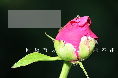 网贷有过逾期记录能不能分期手机 网贷有过逾期记录能不能分期手机