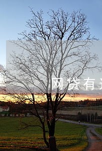 网贷有过逾期还能申请信用卡