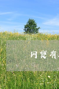 网贷有过逾期还能贷款买车吗 网贷有过逾期还能贷款买车吗
