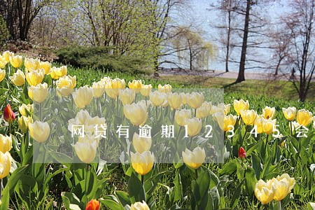 网贷有逾期12345会打电话吗 网贷有逾期12345会打电话吗