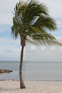 网贷有逾期90天买车 网贷有逾期90天买车