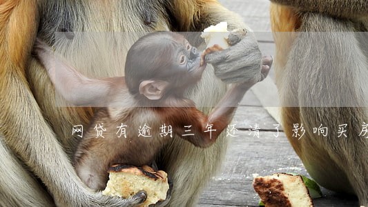 网贷有逾期三年还清了影响买房吗 网贷有逾期三年还清了影响买房吗