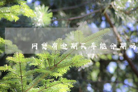 网贷有逾期买车能分期吗
