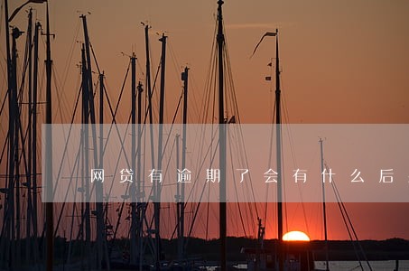 网贷有逾期了会有什么后果 网贷有逾期了会有什么后果