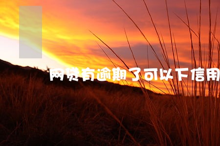 网贷有逾期了可以下信用卡吗 网贷有逾期了可以下信用卡吗