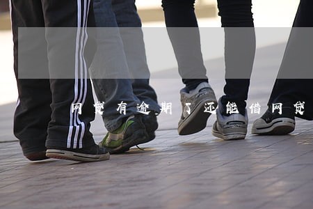 网贷有逾期了还能借网贷吗 网贷有逾期了还能借网贷吗