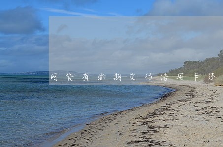 网贷有逾期交行信用卡还能申请 网贷有逾期交行信用卡还能申请