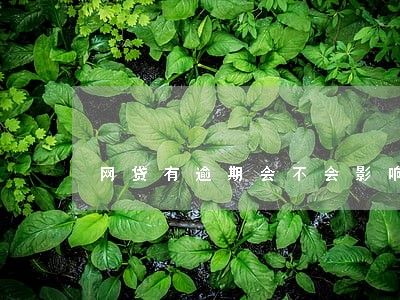 网贷有逾期会不会影响征兵