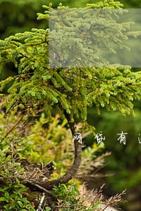 网贷有逾期会去公司找吗 网贷有逾期会去公司找吗