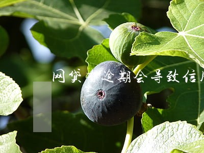 网贷有逾期会导致信用卡降额吗 网贷有逾期会导致信用卡降额吗
