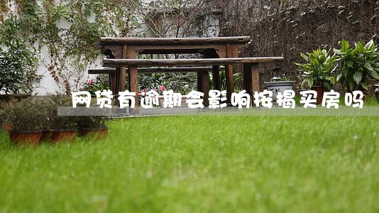 网贷有逾期会影响按揭买房吗 网贷有逾期会影响按揭买房吗